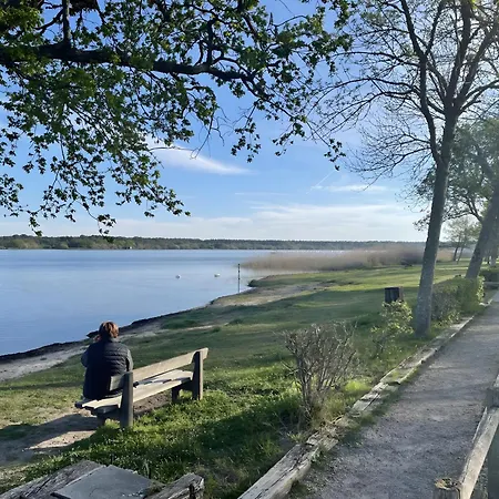 Detente, Escapade D'aureilhan * Aureilhan (Landes)